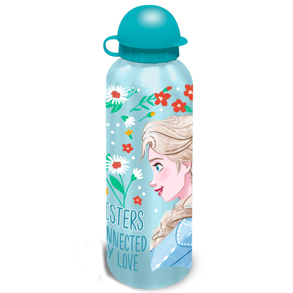 Gourde en aluminium Disney Frozen assorti 500 ml, vue 5