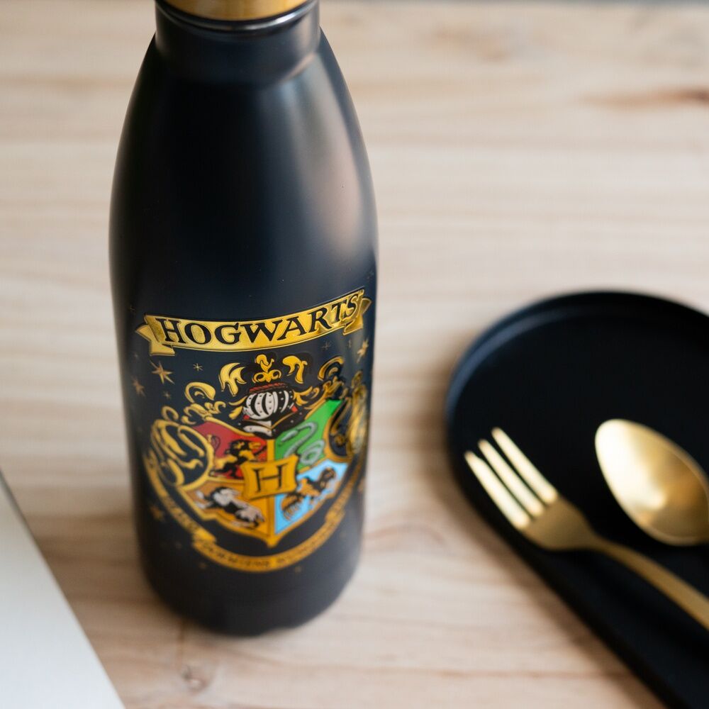Gourde en inox Harry Potter Hogwarts 500 ml, vue 6