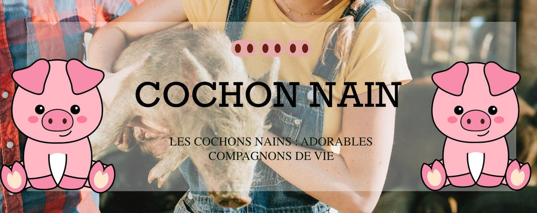 COCHON NAIN