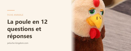 Peluche poule fermière, illustration de la fiche questions-réponses sur la poule