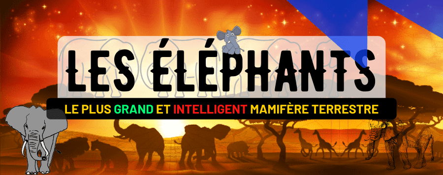 Éléphant d’Asie et d’Afrique : Description, faits, longévité, comportement, alimentation et menaces