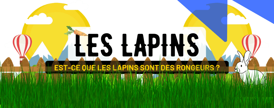 Est-ce que les Lapins sont des Rongeurs ?