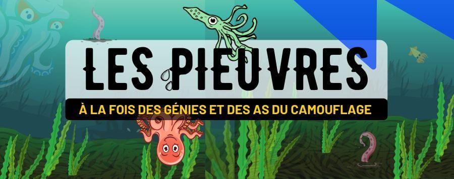La Pieuvre, un As du Camouflage et de l’Intelligence