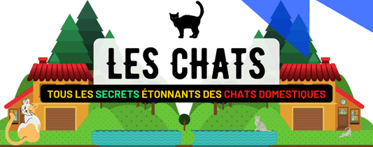 Le Chat Domestique : Description, Habitat, Sommeil, Reproduction, Alimentation...