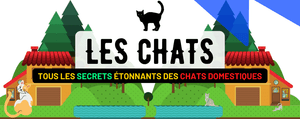 Le Chat Domestique : Description, Habitat, Sommeil, Reproduction, Alimentation...