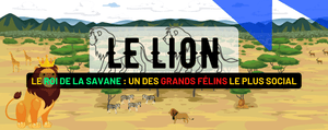 Le Lion, Roi de la Savane : Description, Habitat, Alimentation et Reproduction