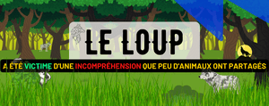 Le Loup : Lieu de Vie, Alimentation, Comportement en Meute et ses Origines