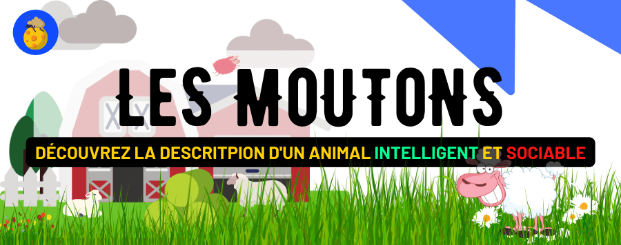 Le Mouton : Intelligence, Sociabilité, Habitat, Reproduction et Description