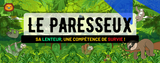 Le paresseux  description, habitat, alimentation et sa lenteur, une compétence de survie !