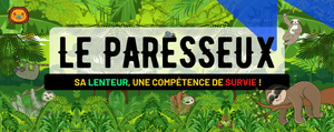 Le Paresseux : Description, Habitat, Alimentation et sa Lenteur, une Compétence de Survie !