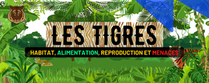 Le Tigre-Habitat, Alimentation, Reproduction et Menaces