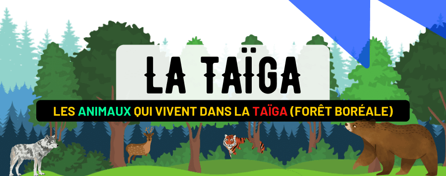 Les Animaux de la Taïga : 20 Animaux qui Affrontent le Froid de la Forêt Boréale