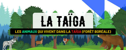 Les Animaux de la Taïga : 20 Animaux qui Affrontent le Froid de la Forêt Boréale