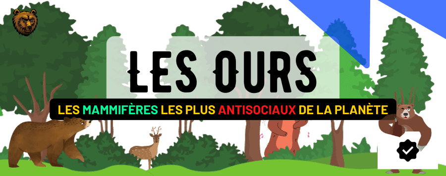Les Ours : Habitat, Description, Comportement, Alimentation et Prédateurs !