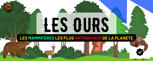 Les Ours : Habitat, Description, Comportement, Alimentation et Prédateurs !