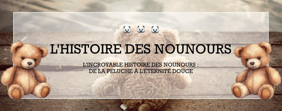Histoire des nounours