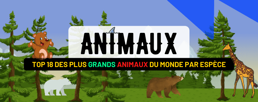 TOP 18 des plus Grands Animaux du Monde par Espèce