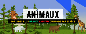 TOP 18 des plus Grands Animaux du Monde par Espèce