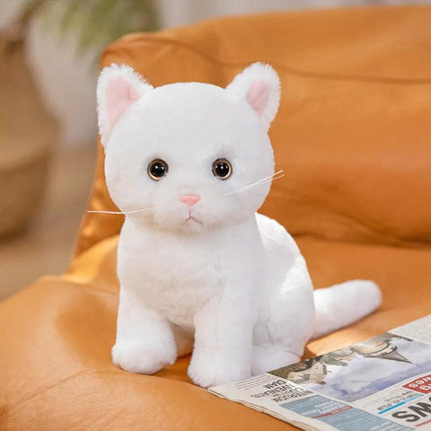 peluche chat bébé blanc