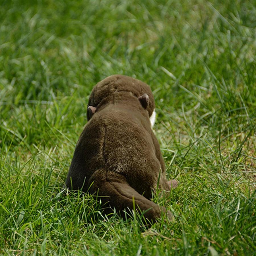 Peluche Loutre Réaliste