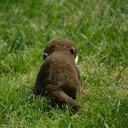 Peluche Loutre Réaliste