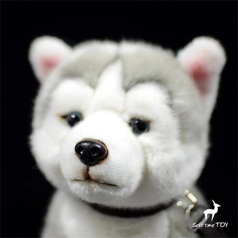 Kuscheltier Hund Husky Grau