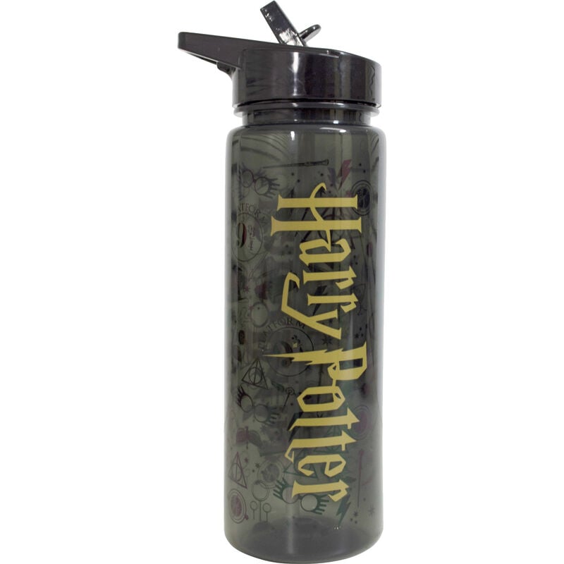 Gourde Harry Potter Logo 750 ml