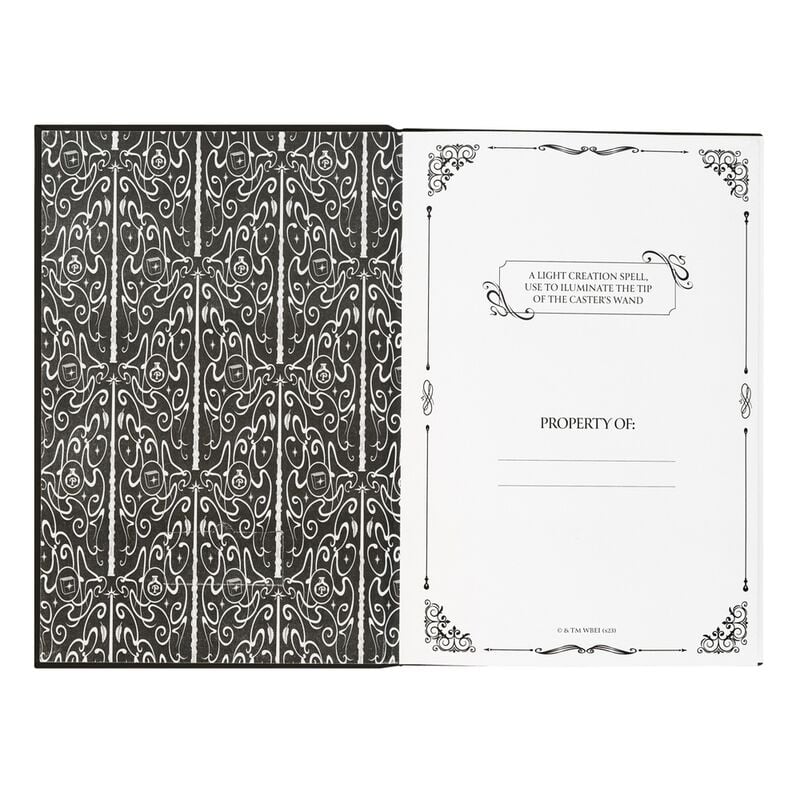 Cahier Harry Potter Lumos A5 premium led + pen, vue 3