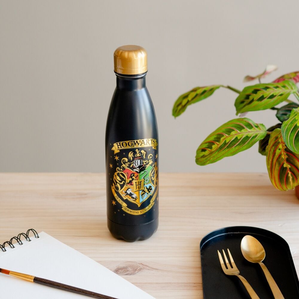 Gourde en inox Harry Potter Hogwarts 500 ml, vue 5