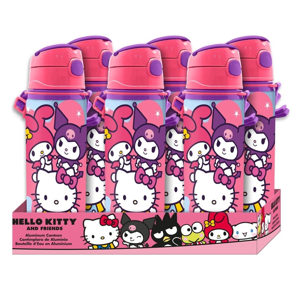 Gourde en aluminium Hello Kitty and Friends 600 ml