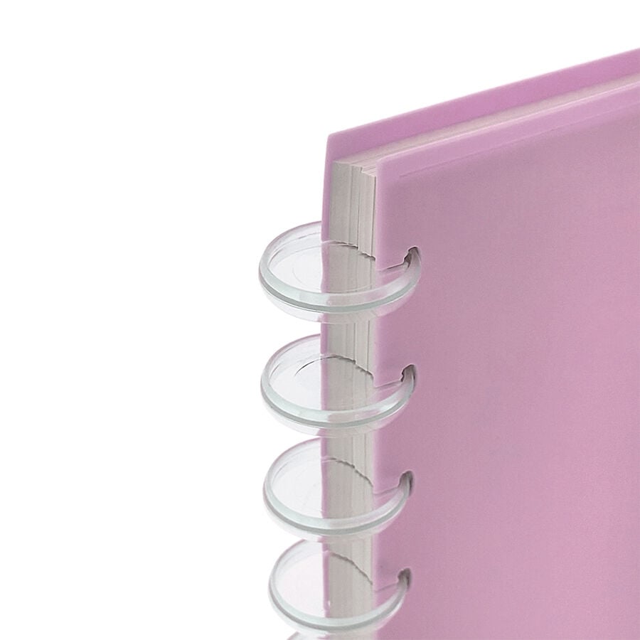 Cahier Capibara Majesty, vue 4
