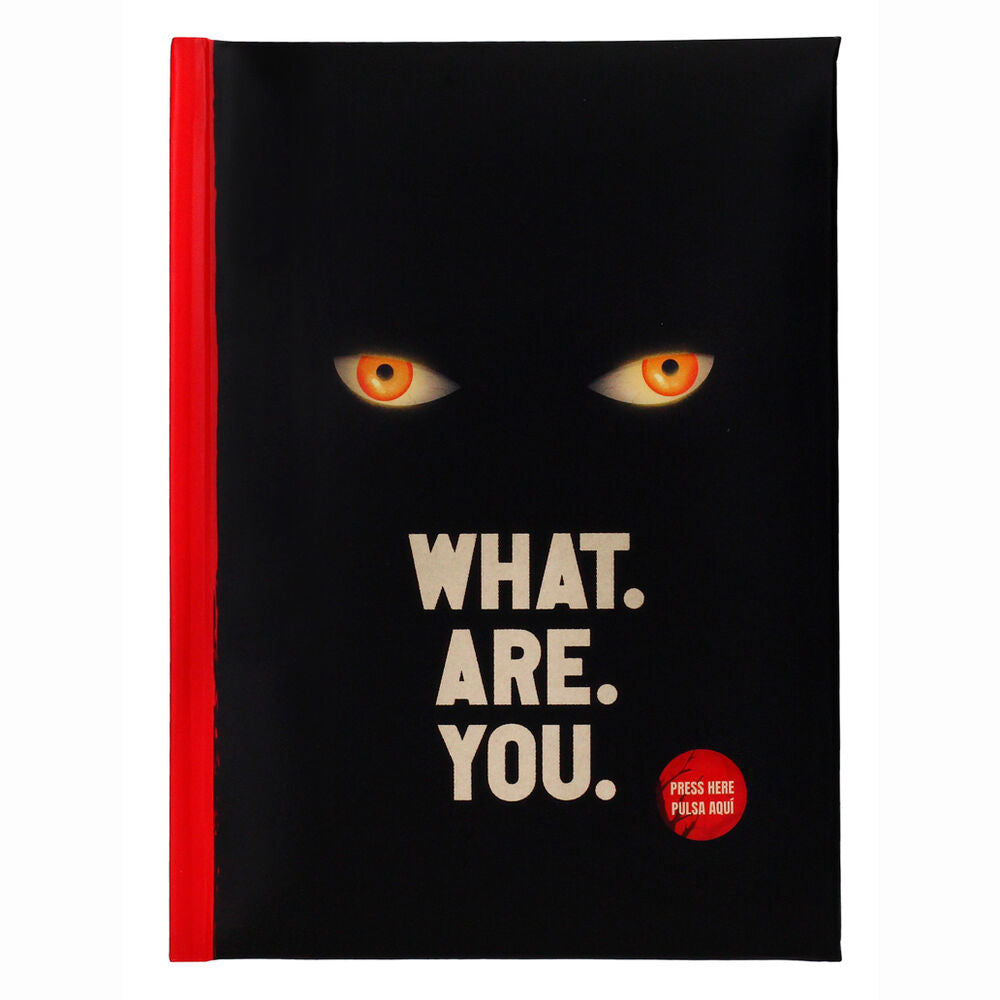 Cahier IT Welcome To Derry What Are You