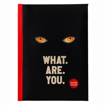 Cahier IT Welcome To Derry What Are You