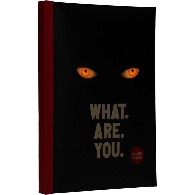 Cahier IT Welcome To Derry avec light + keychain