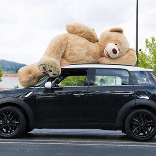 Teddybär 2 Meter