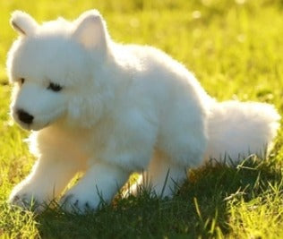 Kuscheltier Wolf Weiß