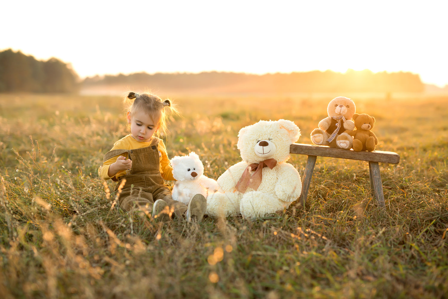 Petite fille jouant avec ses ours en peluche dans un champ