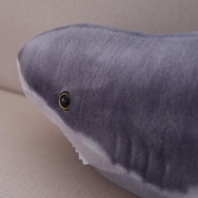 tête de requin blanc