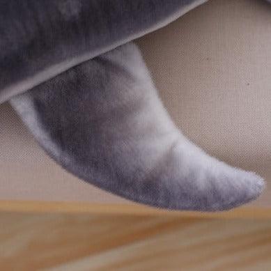 nageoire requin blanc