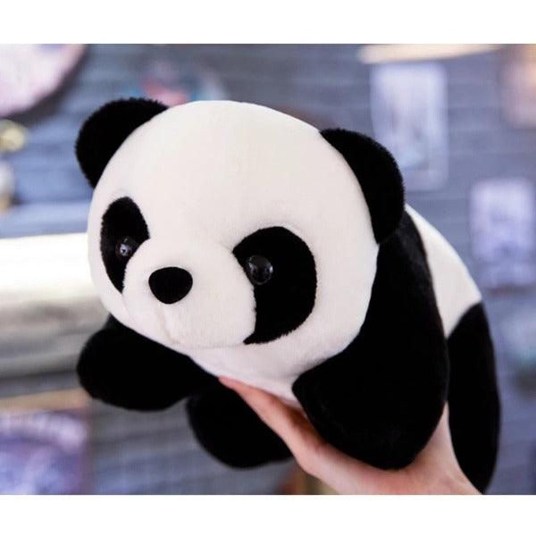 |152:201336175#abou 20-25cm|1005004598816862-abou 20-25cm
