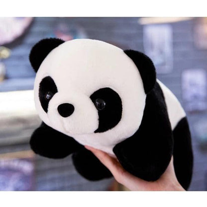 |152:201336175#abou 20-25cm|1005004598816862-abou 20-25cm