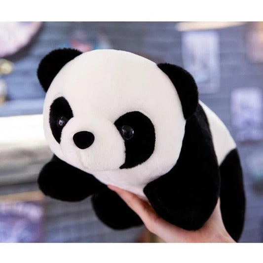 |152:201336175#abou 20-25cm|1005004598816862-abou 20-25cm