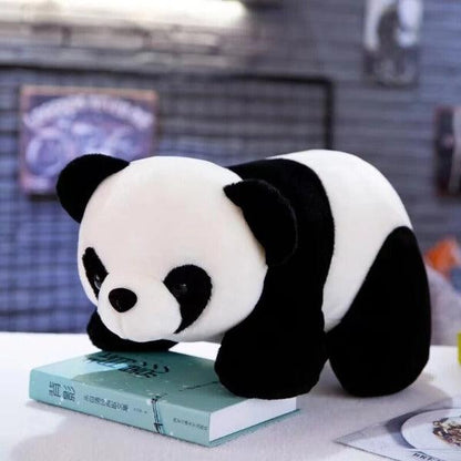 Kuscheltier Panda