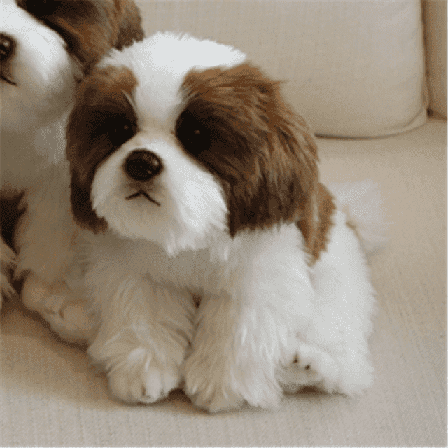peluche-chien-blanc-et-marron