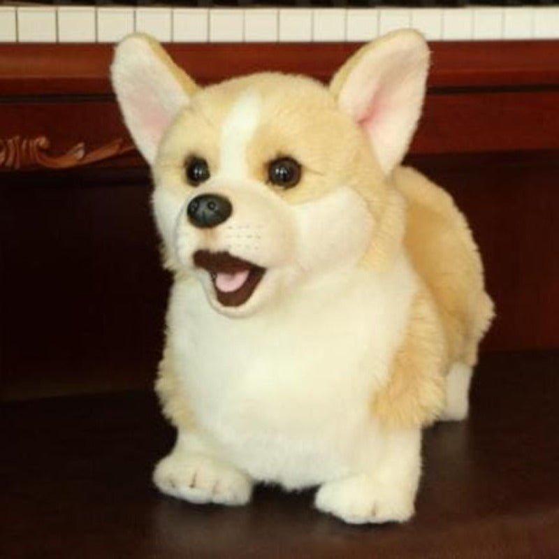 peluche-chien-chihuahua