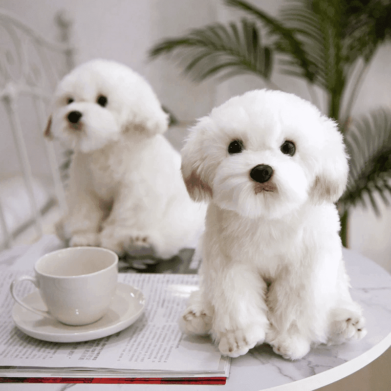 peluche-chien-mignon