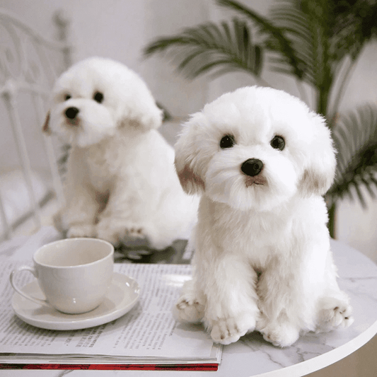 peluche-chien-mignon